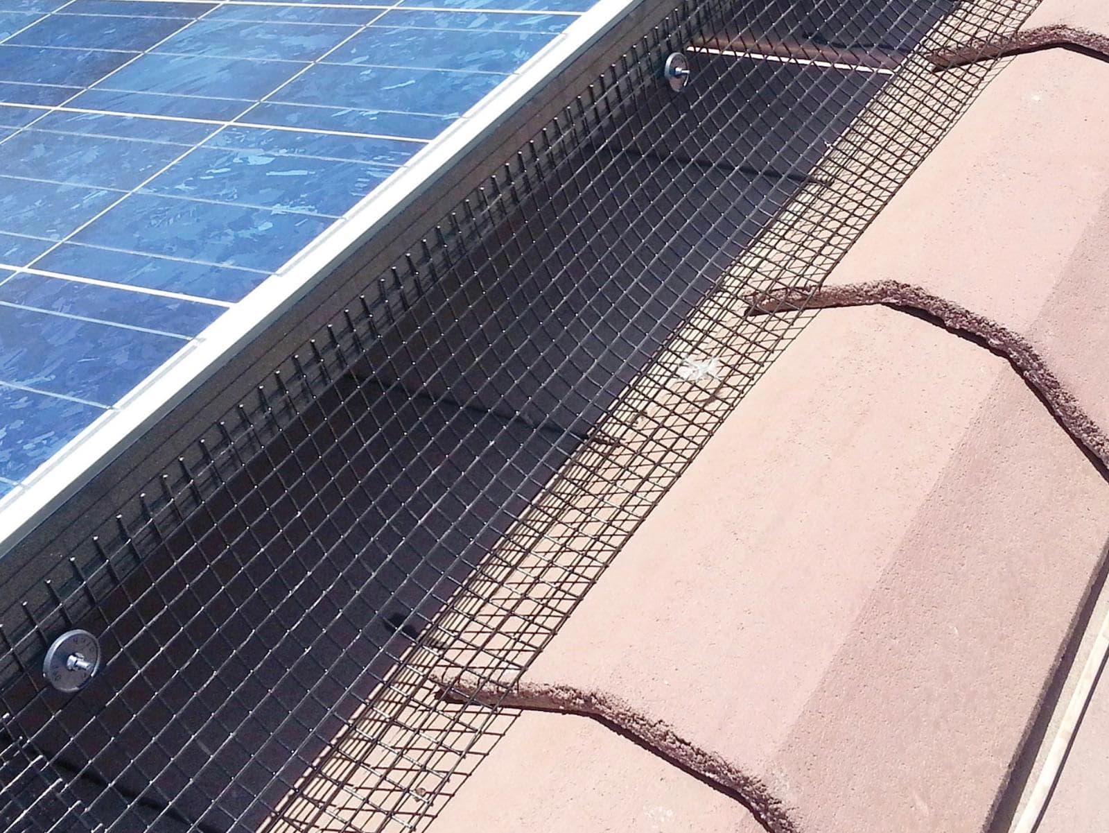Discover How Commercial Solar Nottingham Installations Improve Business Sustainability