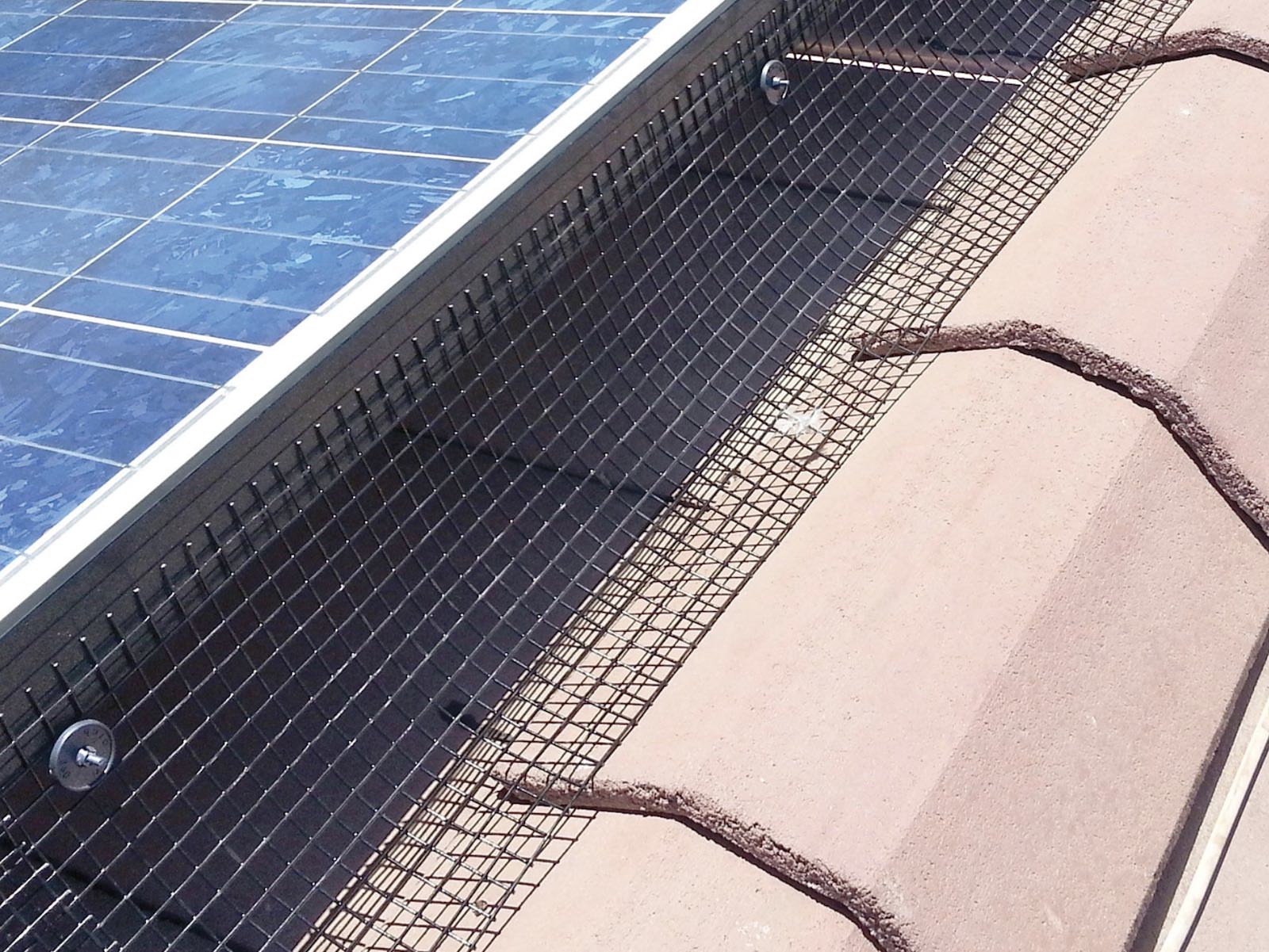 Discover How Commercial Solar Nottingham Installations Improve Business Sustainability