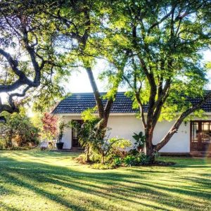 Home & Garden Reviews